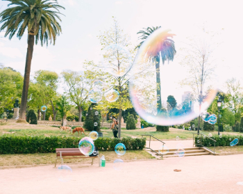 Bubbles Floating during Daytime Bubbles Floating during Daytime