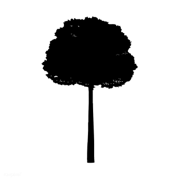 Buckthorn tree silhouette on white background | Free stock vector - 488654 Buckthorn tree silhouette on white background | Free stock vector - 488654