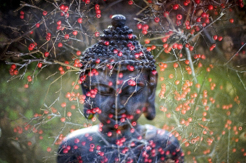 Buddha. Original public domain image | Free Photo - rawpixel