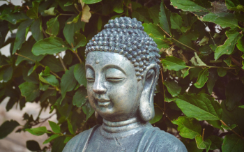 Buddha Statue Buddha Statue