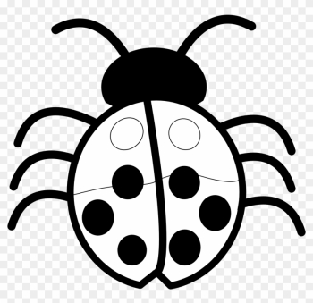 Bugs Image Free Pictures Bug Clip Art Image - Clipart Of Flowers Black And White