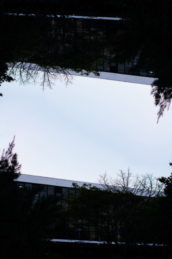 building behind trees building behind trees