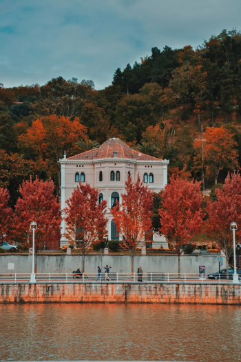 Building Surrounded By Autumn Trees Building Surrounded By Autumn Trees