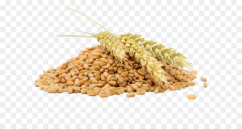 Bulgur, Food, Vegetarian Cuisine, Wheat PNG Bulgur, Food, Vegetarian Cuisine, Wheat PNG