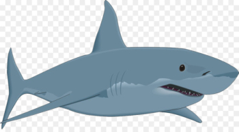 Bull shark Clip art - shark,shark 