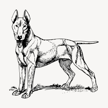 Bull Terrier dog drawing clipart, | Free Vector - rawpixel Bull Terrier dog drawing clipart, | Free Vector - rawpixel