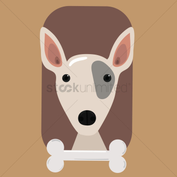 Bull terrier dog with bone Bull terrier dog with bone