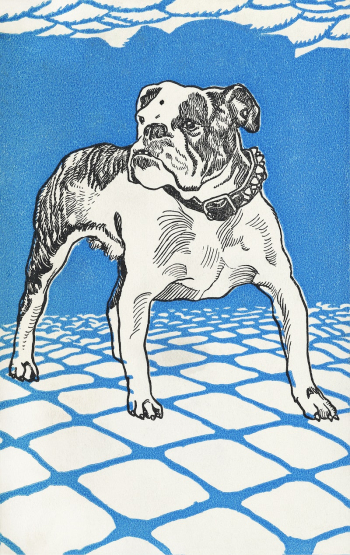 Bulldog (1912) print in high | Free Photo Illustration - rawpixel Bulldog (1912) print in high | Free Photo Illustration - rawpixel