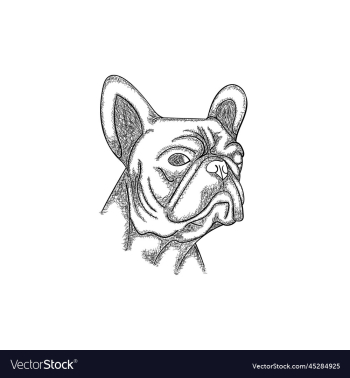 bulldog head face line art creative d bulldog head face line art creative d