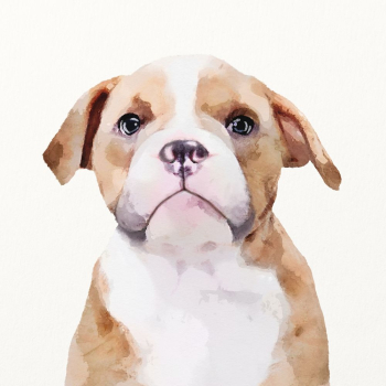 Bulldog watercolor illustration, cute animal | Free Photo Illustration - rawpixel