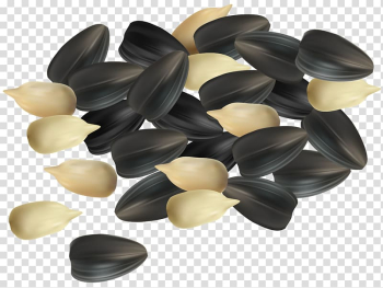 Bunch of black and white seeds illustration, Sunflower seed Common sunflower Acorn , Sunflower Seeds transparent background PNG clipart
