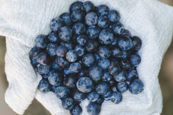 Bunch of Blueberries on White Textile Bunch of Blueberries on White Textile