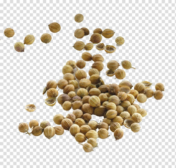 Bunch of brown fruits, Coriander seed Food Cumin Yogi Tea, seeds transparent background PNG clipart