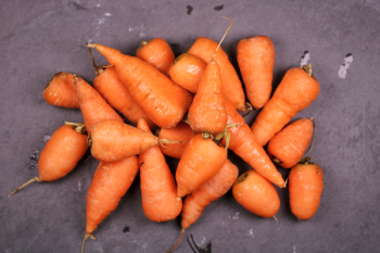 Bunch of Carrots Bunch of Carrots
