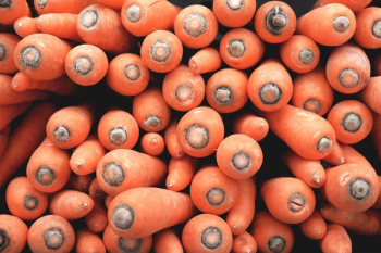 bunch of carrots bunch of carrots