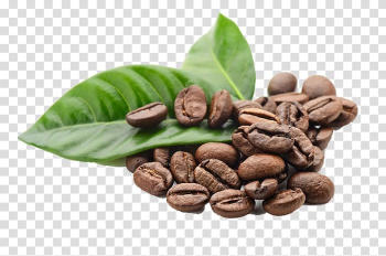 Bunch of coffee beans , Kona coffee Espresso Tea Coffee bean, Leaves and coffee beans transparent background PNG clipart