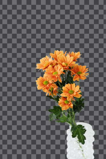 Bunch of flowers on PNG transparent background - Author @karolina-grabowska / Pexels