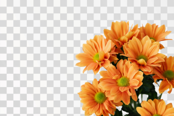 Bunch of flowers on PNG transparent background - Author @karolina-grabowska / Pexels