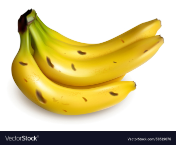 bunch ripe bananas isolated on white bunch ripe bananas isolated on white