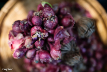 Bunches of red onion | Free stock photo - 71471 Bunches of red onion | Free stock photo - 71471
