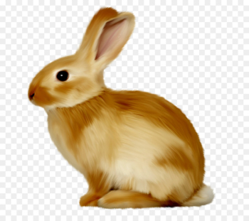 Bunnies & Rabbits Hare Clip art - Cute little bunny Bunnies & Rabbits Hare Clip art - Cute little bunny
