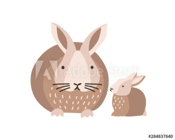 Bunny or rabbit with baby isolated on white background Bunny or rabbit with baby isolated on white background