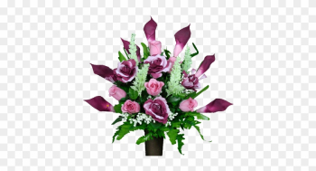 Burgundy Calla Lily - Garden Roses Burgundy Calla Lily - Garden Roses
