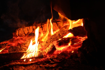 Burning Firewood Burning Firewood