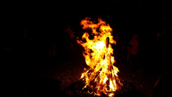 Burning Firewood Burning Firewood