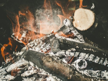 burning wood burning wood
