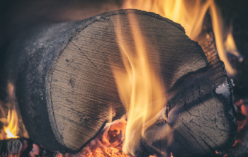 Burning Wood Burning Wood