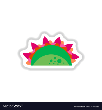 Burrito falafel wrap pita bread vector image Burrito falafel wrap pita bread vector image