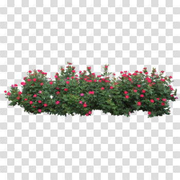 Bushes Png File Bushes Png File