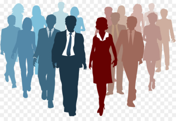 Business Human resource management Organization Human Resources - gender 