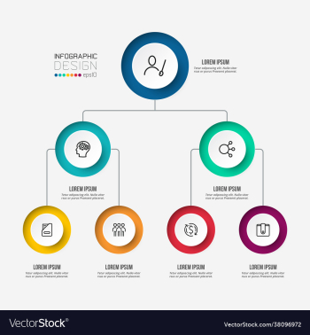 business or marketing organization infographic