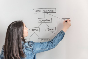 Business Woman Flow Chart Business Woman Flow Chart