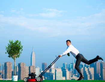Businessman inspiration grass | Free stock photo - 94330 Businessman inspiration grass | Free stock photo - 94330