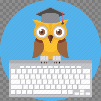 Busy, cartoon, computer, keyboard, owl, teacher, working icon