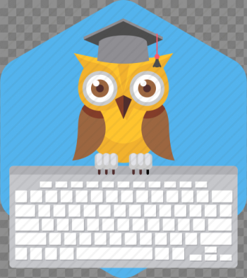 Busy, cartoon, computer, keyboard, owl, teacher, working icon