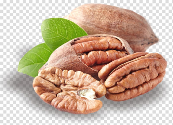 Butter pecan Nut Praline Dried Fruit, walnut transparent background PNG clipart Butter pecan Nut Praline Dried Fruit, walnut transparent background PNG clipart