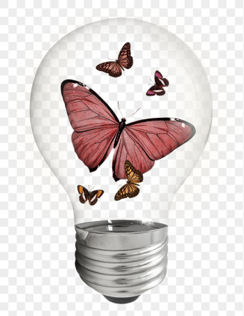 Butterflies bulb png sticker, insect, | Free PNG - rawpixel