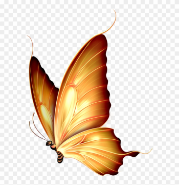 Butterflies - Butterfly Png Butterflies - Butterfly Png