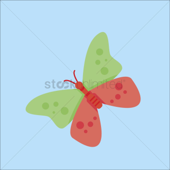 Butterfly Butterfly