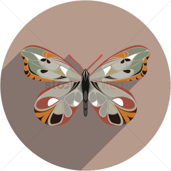 Butterfly Butterfly