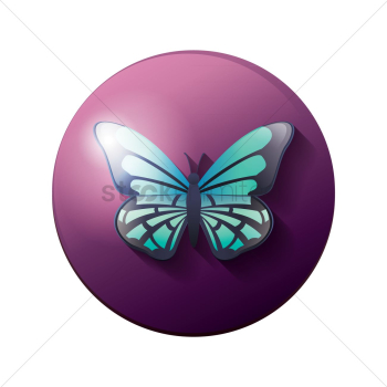Butterfly Butterfly