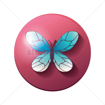 Butterfly Butterfly