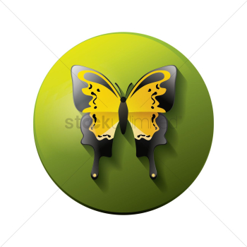 Butterfly Butterfly