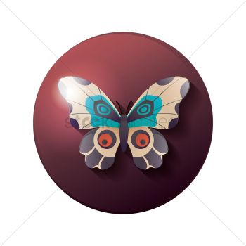 Butterfly Butterfly