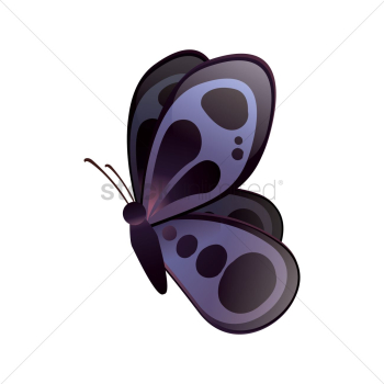Butterfly Butterfly