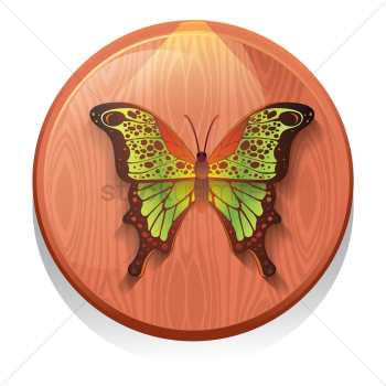 Butterfly Butterfly